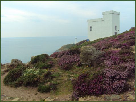 Ellin's Tower, South Stack