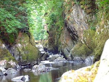 Fairy Glen