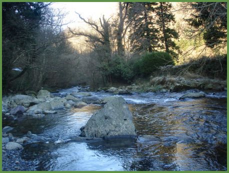 Coedydd Aber Nature Reserve